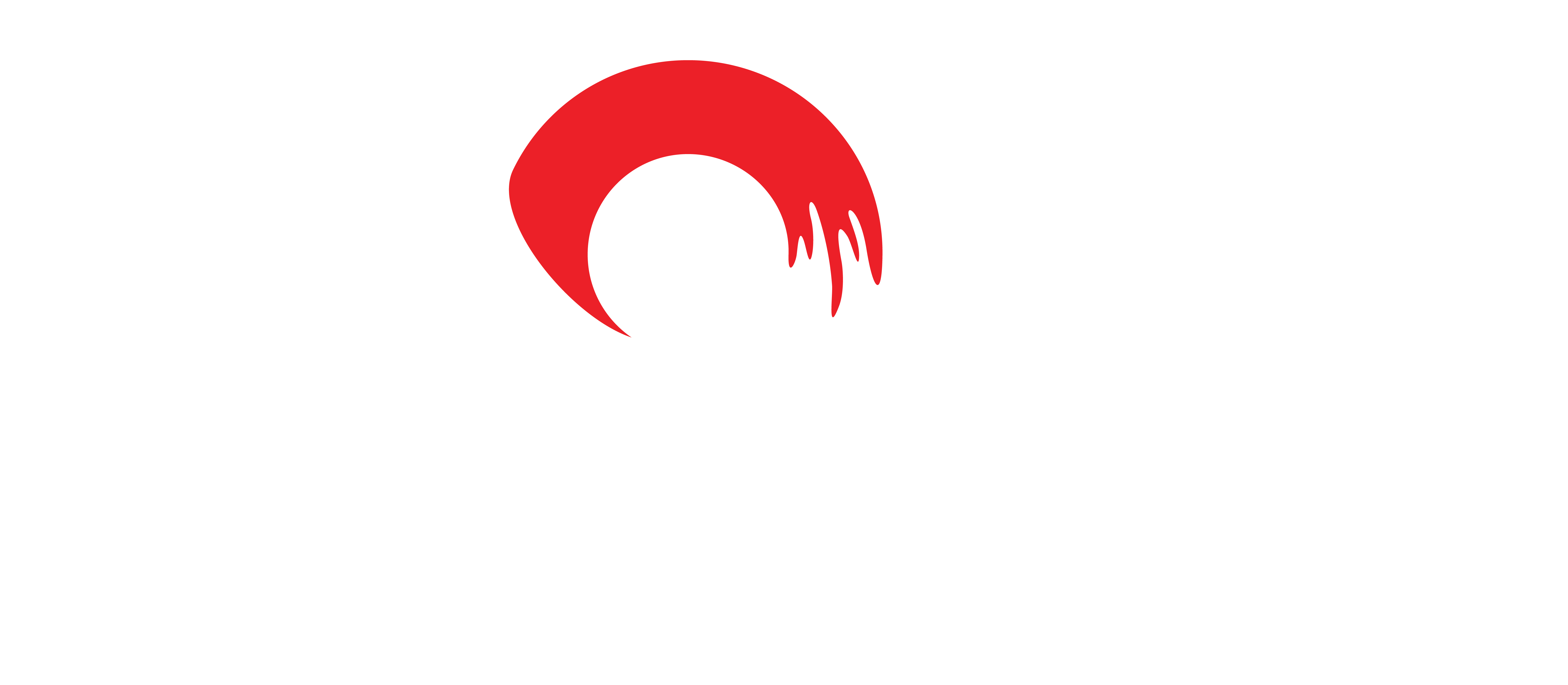 Core Painting Solutions logo