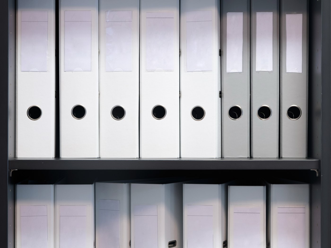 Shelves of plain white record binders, spines unlabelled