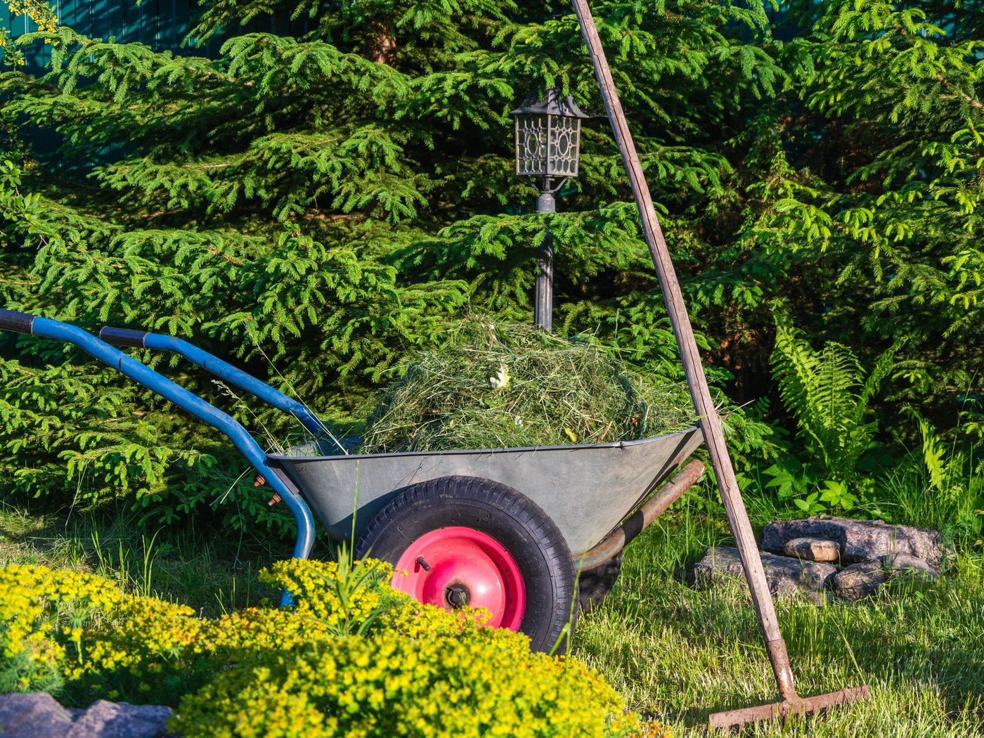 Barrow of cuttings and hand tools left beside a clipped hedge
