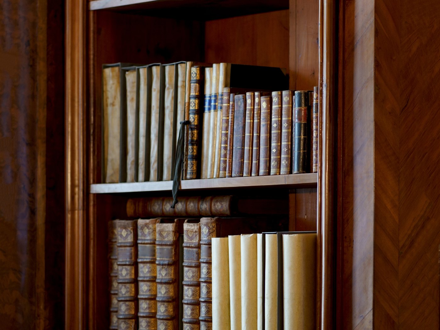 Antique bound volumes shelved in a panelled reading room
