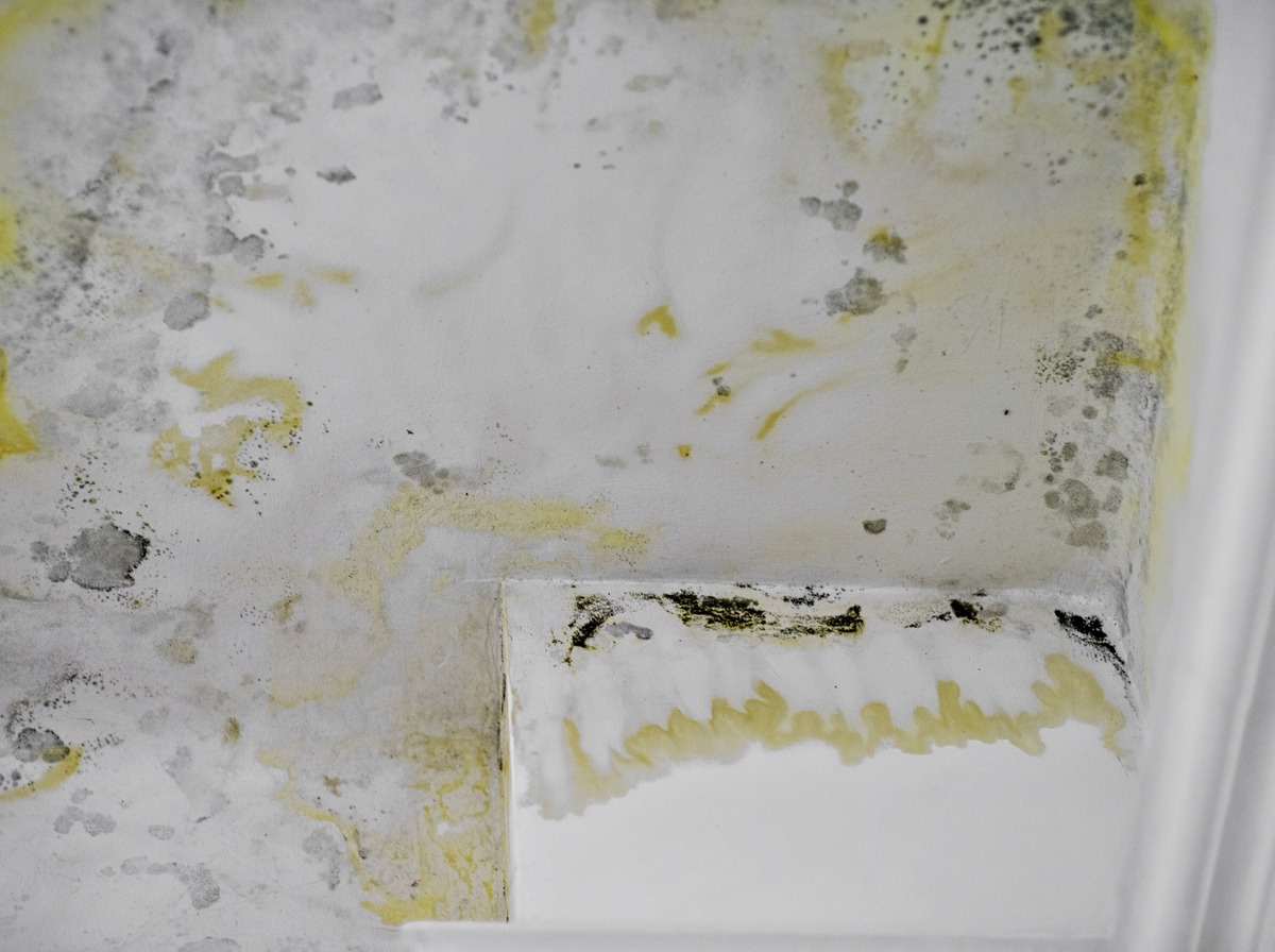 Water staining across a damaged commercial ceiling