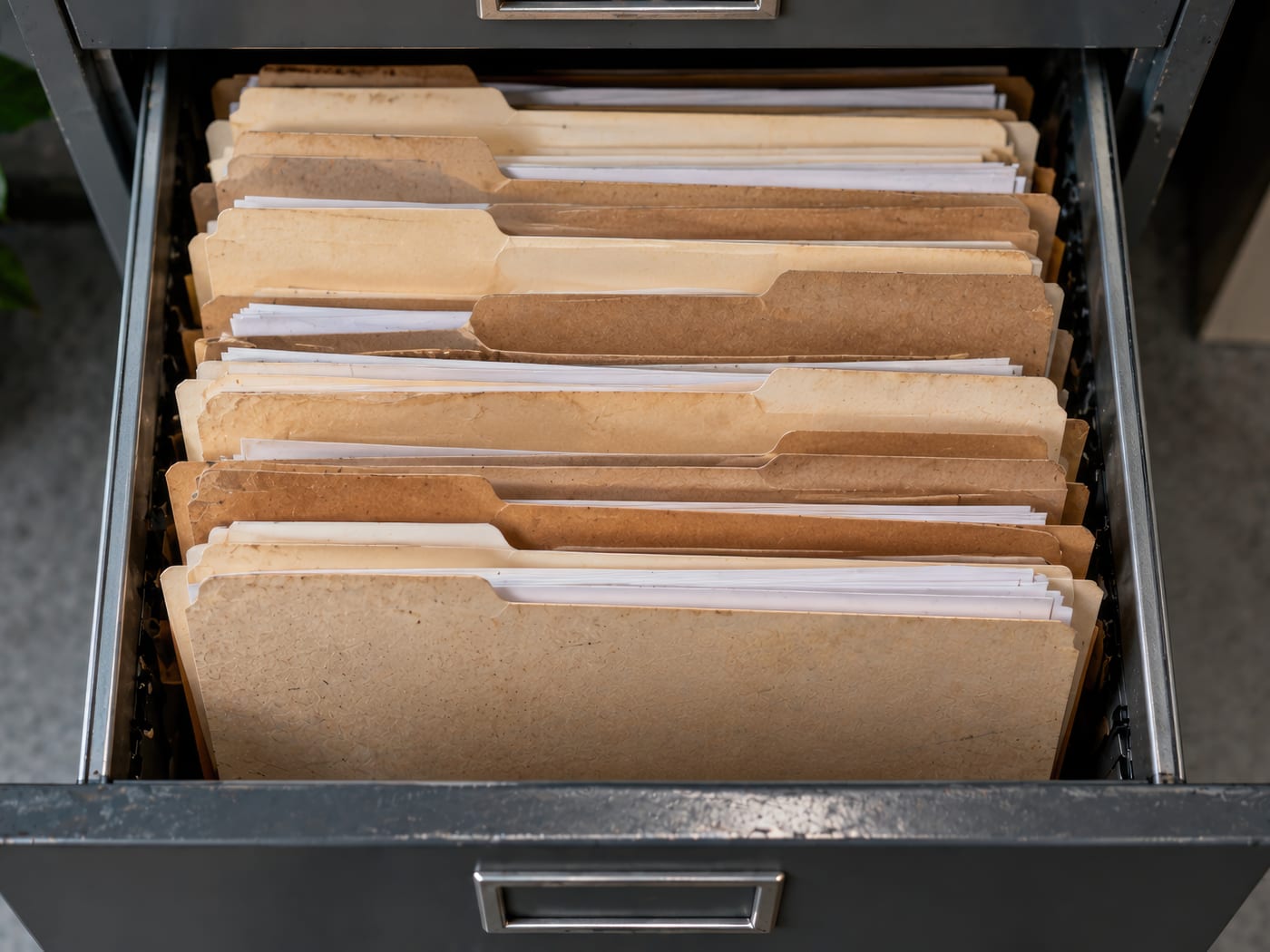 Manila folders standing upright in an open filing cabinet drawer