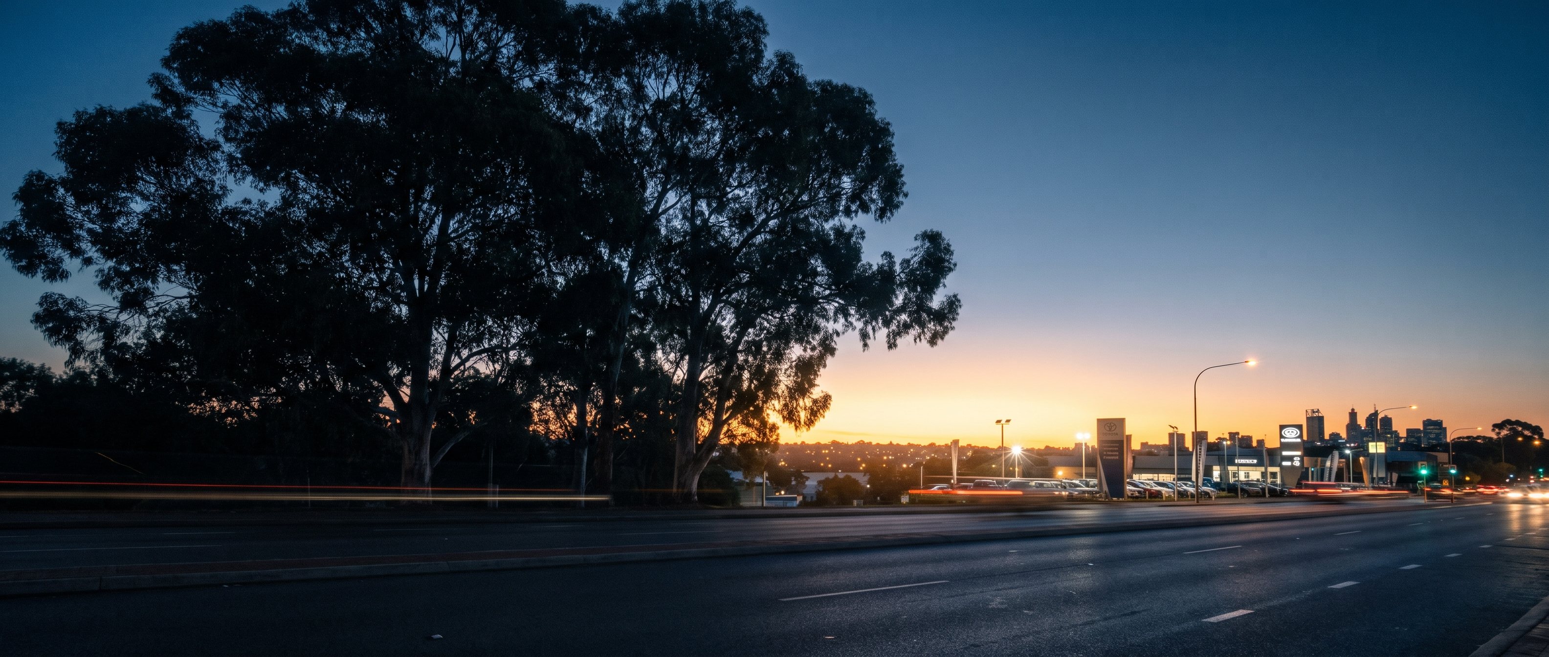 Albany Highway in Victoria Park at blue hour, dark tree canopy over the left and the lit dealership strip glowing towards the city in the distance